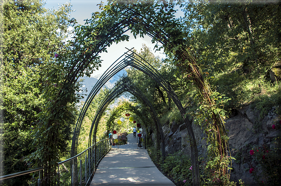 foto Giardini Trauttmansdorff - Giardino degli Innamorati e binocolo di Matteo Thun